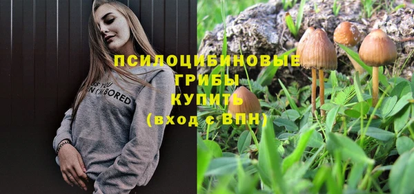 ECSTASY Алексин