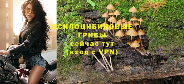эйфоретик Алзамай