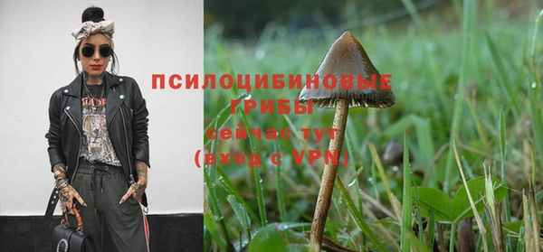 эйфоретик Алзамай